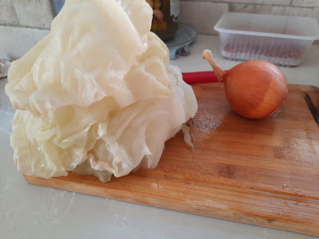 כרוב שהוצא מהמקפיא