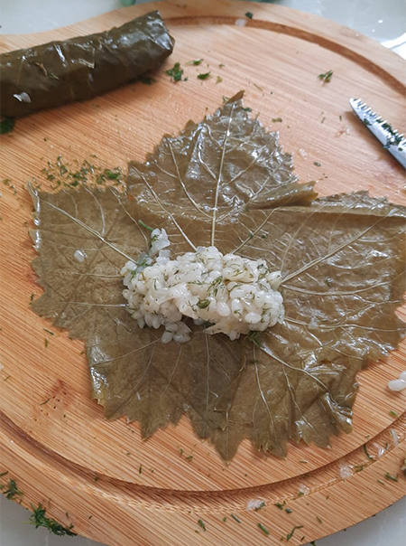 מילוי עלה גפן באורז ועשבי תיבול