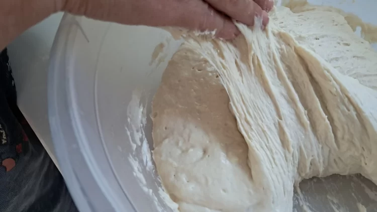 קיפול הבצק לאחר התפחה ראשונה