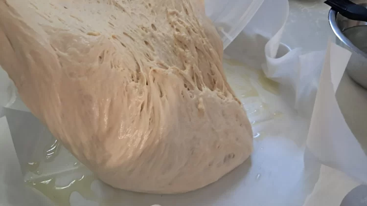 העברת הבצק לתבנית אפייה