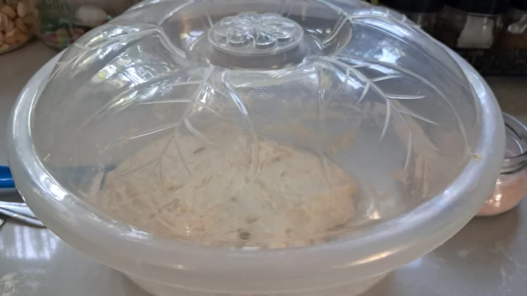 התפחה ראשונה לבצק